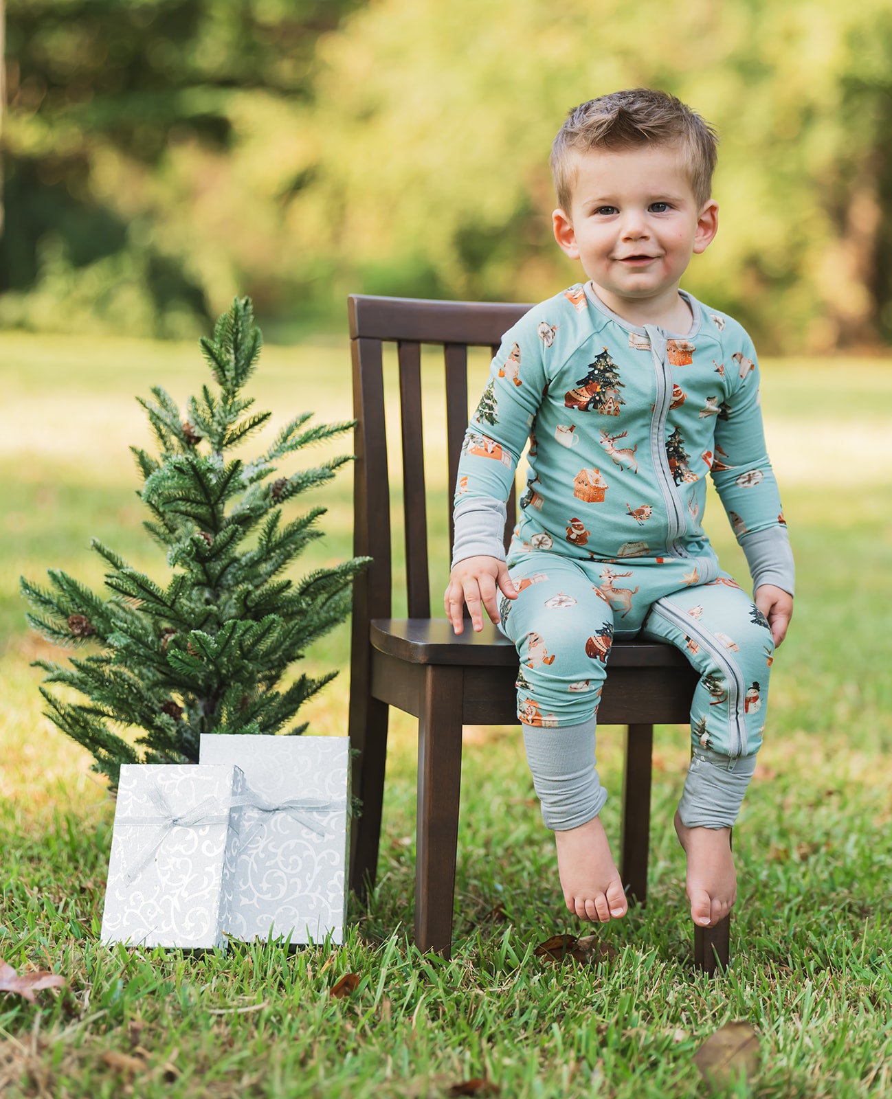 Zippy - Christmas in the Village