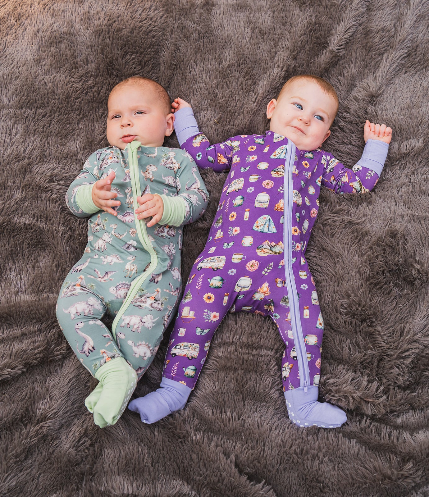 Zippy - Wander & Wonder