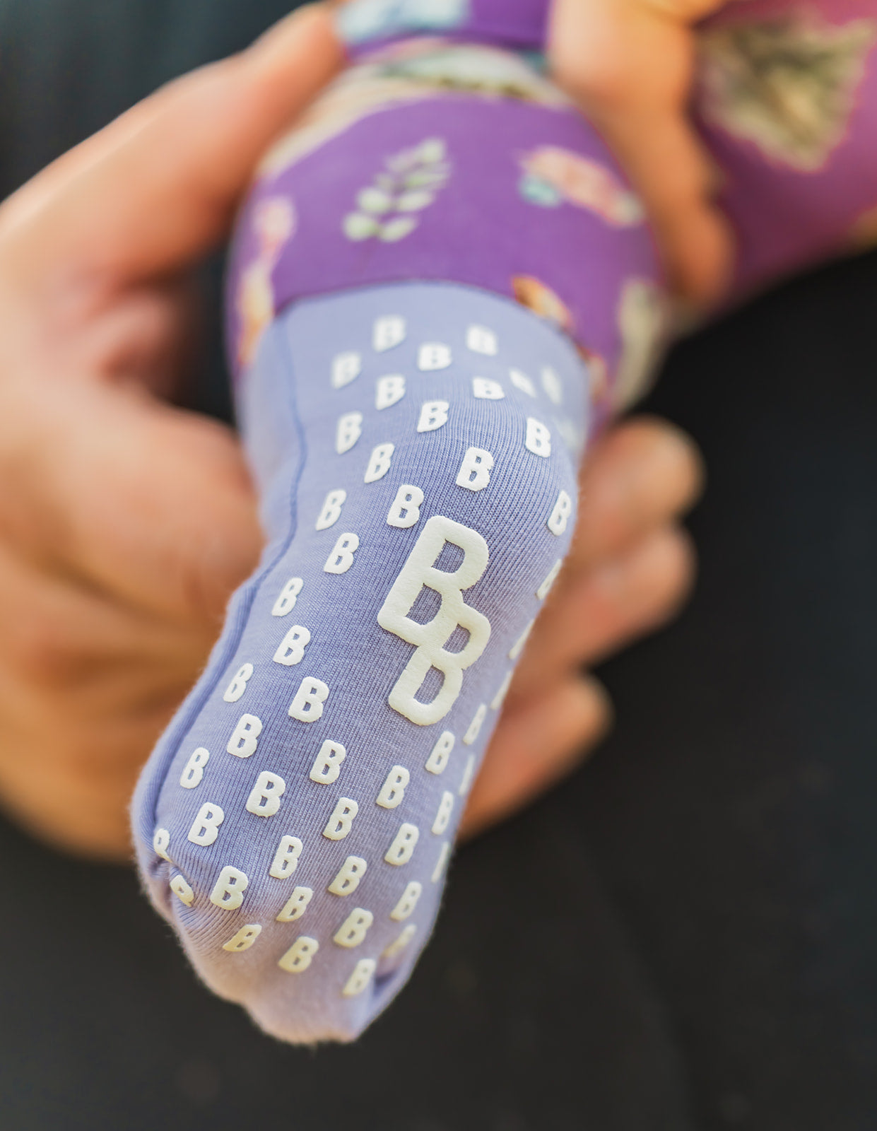 Zippy - Wander & Wonder